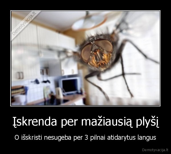 Įskrenda per mažiausią plyšį - O išskristi nesugeba per 3 pilnai atidarytus langus. 