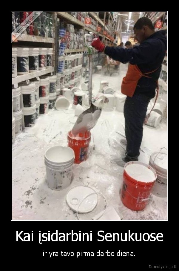 Kai įsidarbini Senukuose - ir yra tavo pirma darbo diena.. 