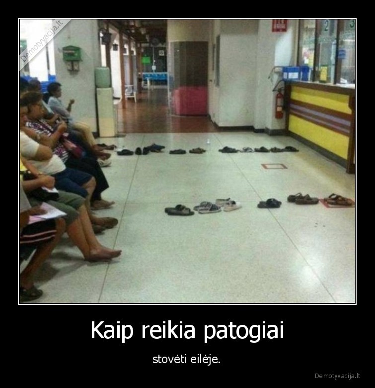 Kaip reikia patogiai - stovėti eilėje.. 