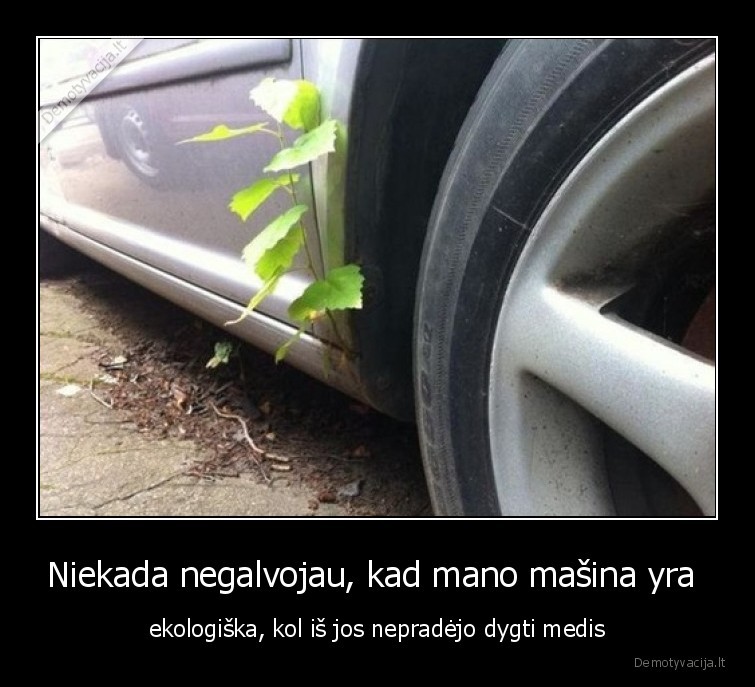 Niekada negalvojau, kad mano mašina yra  - ekologiška, kol iš jos nepradėjo dygti medis. 