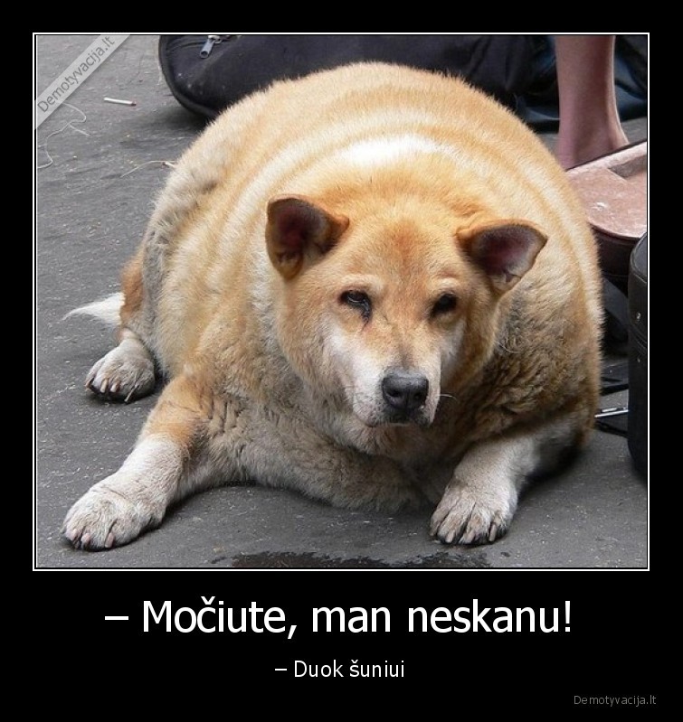 – Močiute, man neskanu! - – Duok šuniui. 