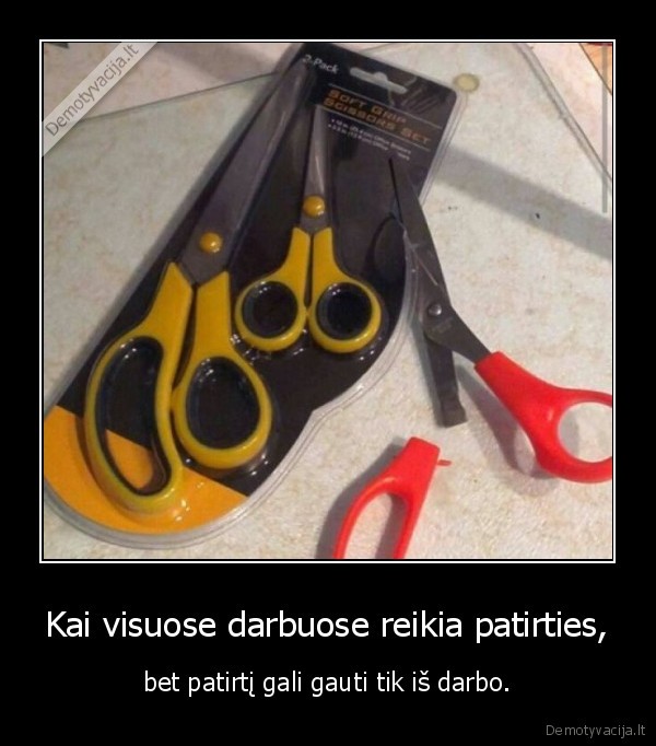 Kai visuose darbuose reikia patirties, - bet patirtį gali gauti tik iš darbo.. 