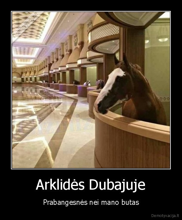 Arklidės Dubajuje - Prabangesnės nei mano butas. 