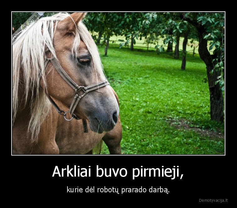 Arkliai buvo pirmieji, - kurie dėl robotų prarado darbą.. 