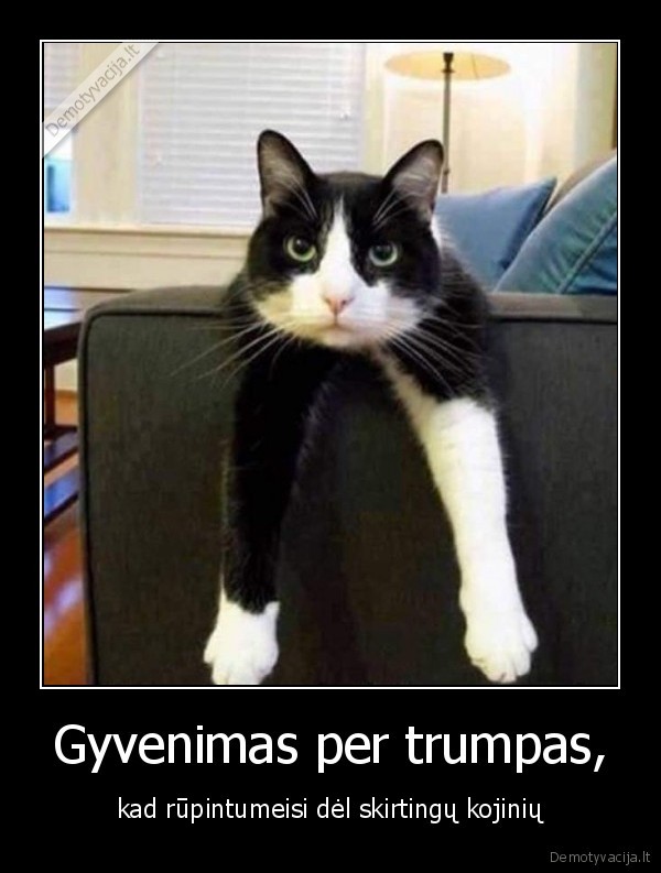 Gyvenimas per trumpas, - kad rūpintumeisi dėl skirtingų kojinių. 