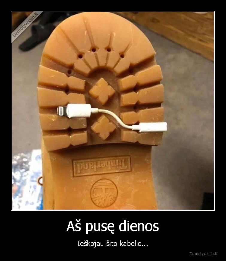 Aš pusę dienos - Ieškojau šito kabelio.... 