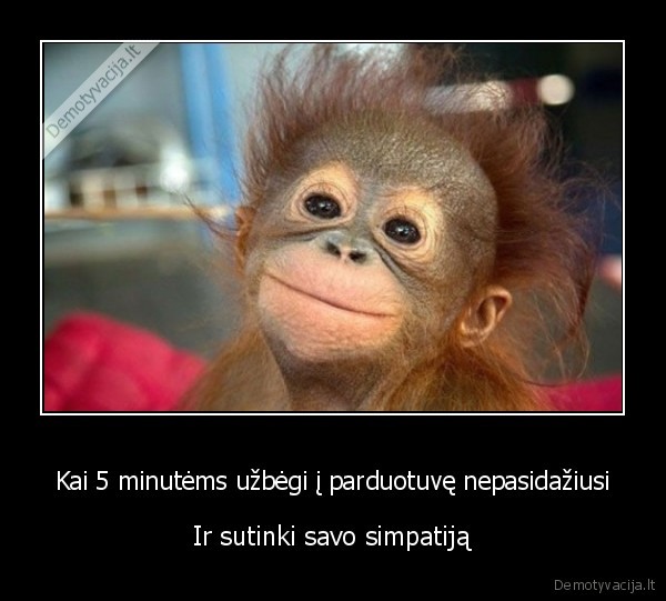 Kai 5 minutėms užbėgi į parduotuvę nepasidažiusi - Ir sutinki savo simpatiją. 