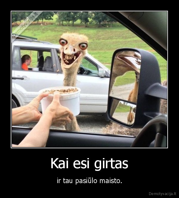 Kai esi girtas - ir tau pasiūlo maisto.. 