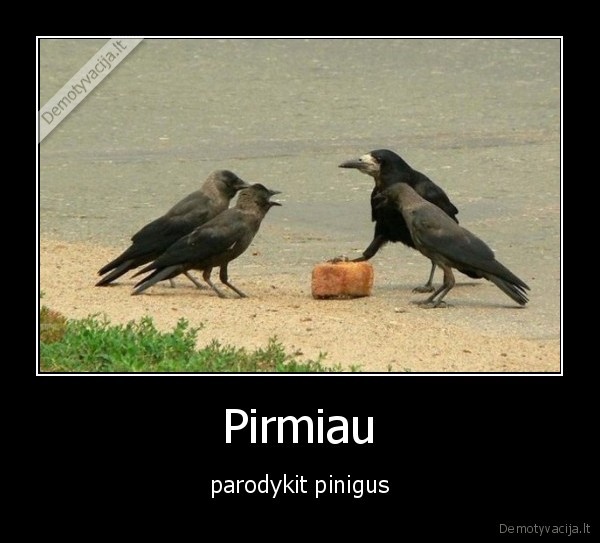 Pirmiau - parodykit pinigus. 