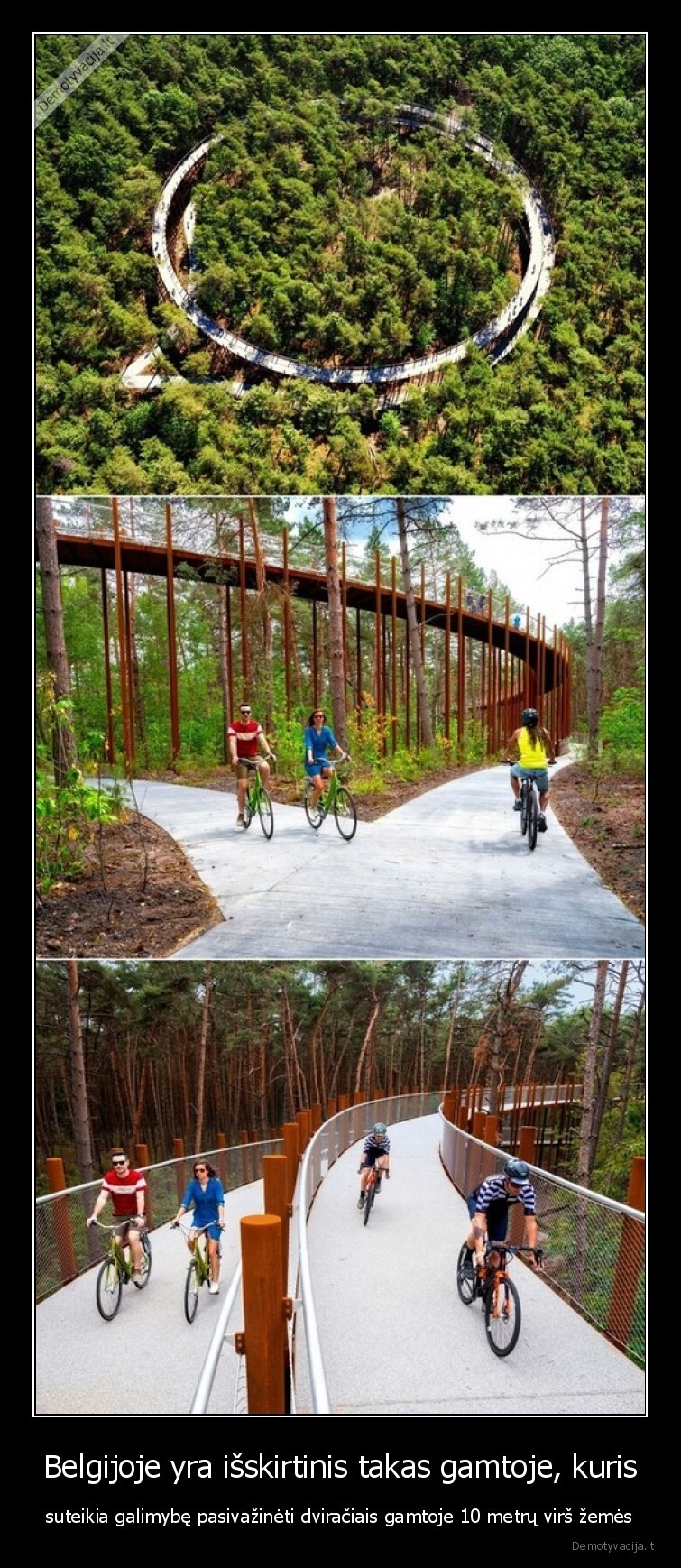 Belgijoje yra išskirtinis takas gamtoje, kuris - suteikia galimybę pasivažinėti dviračiais gamtoje 10 metrų virš žemės. 