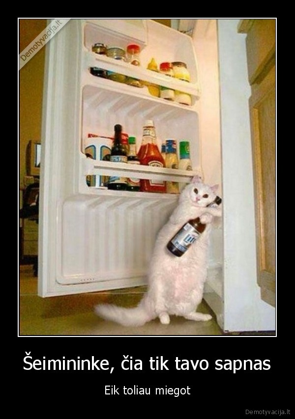 Šeimininke, čia tik tavo sapnas - Eik toliau miegot. 