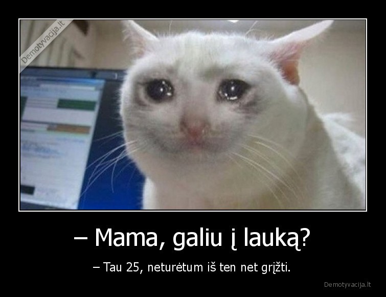 – Mama, galiu į lauką? - – Tau 25, neturėtum iš ten net grįžti.. 