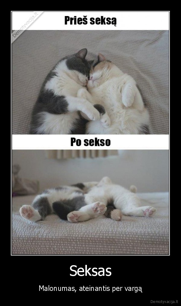 Seksas - Malonumas, ateinantis per vargą. 