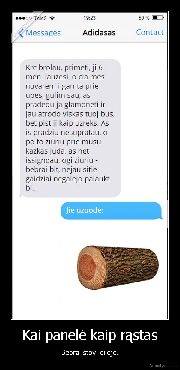 Kai panelė kaip rąstas - Bebrai stovi eilėje.. 