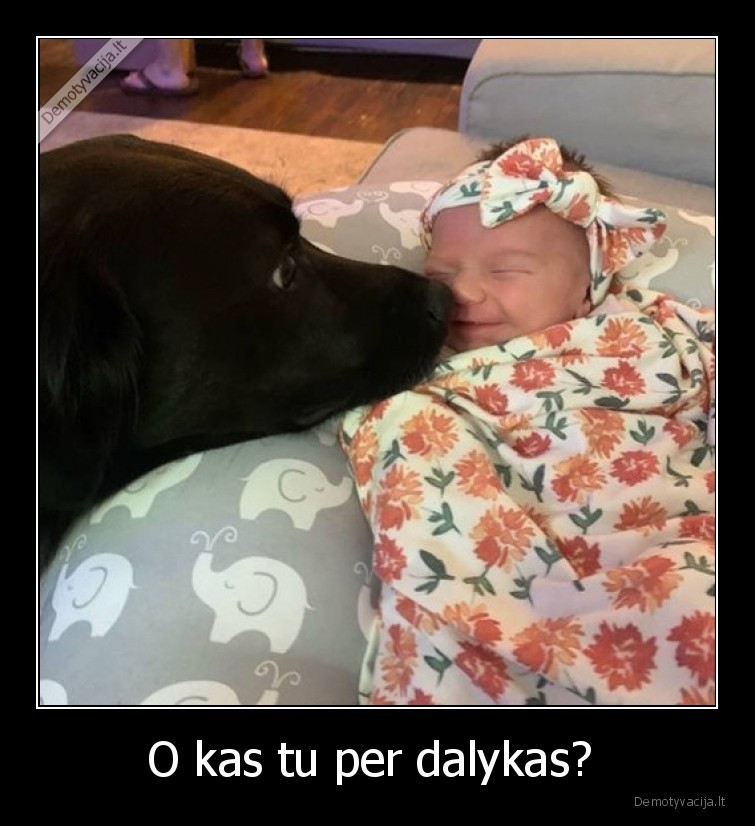 O kas tu per dalykas? . 