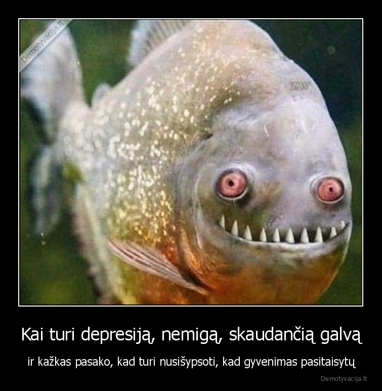 Kai turi depresiją, nemigą, skaudančią galvą - ir kažkas pasako, kad turi nusišypsoti, kad gyvenimas pasitaisytų. 