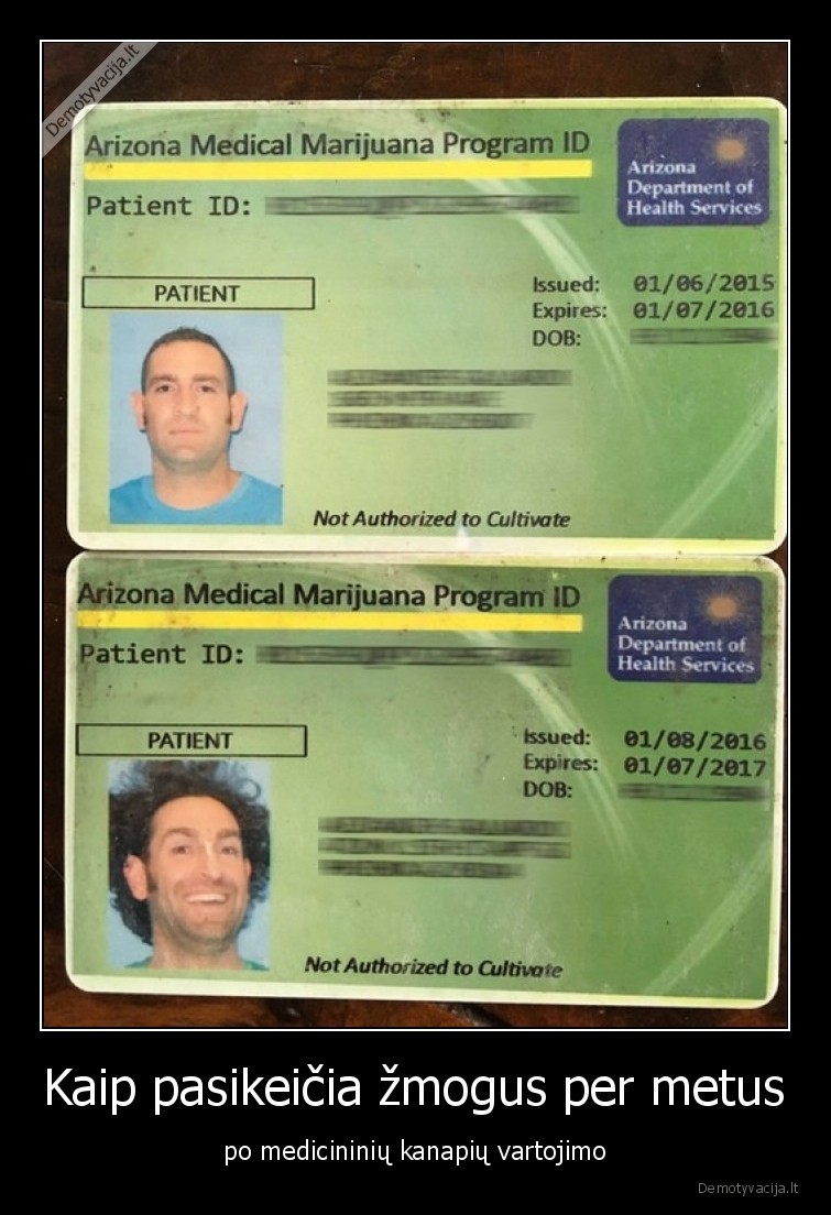 Kaip pasikeičia žmogus per metus - po medicininių kanapių vartojimo. 