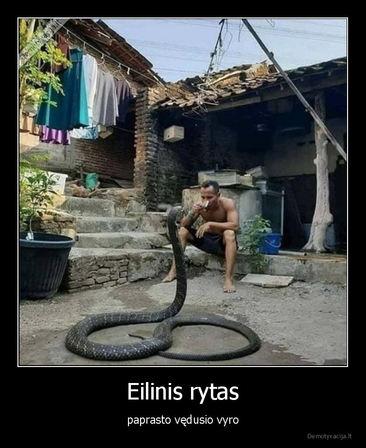 Eilinis rytas - paprasto vędusio vyro. 