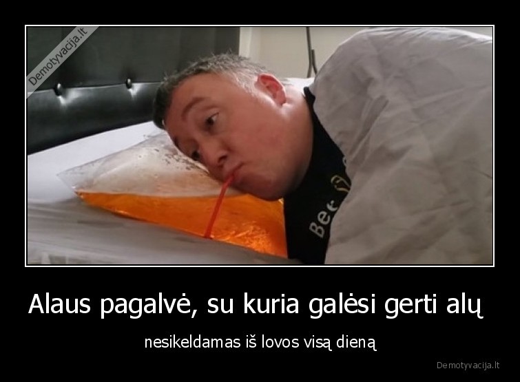 Alaus pagalvė, su kuria galėsi gerti alų  - nesikeldamas iš lovos visą dieną. 