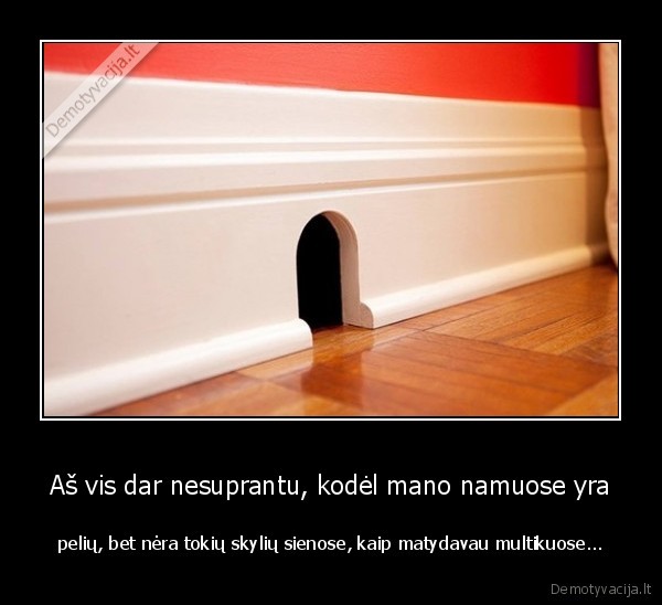 Aš vis dar nesuprantu, kodėl mano namuose yra - pelių, bet nėra tokių skylių sienose, kaip matydavau multikuose.... 