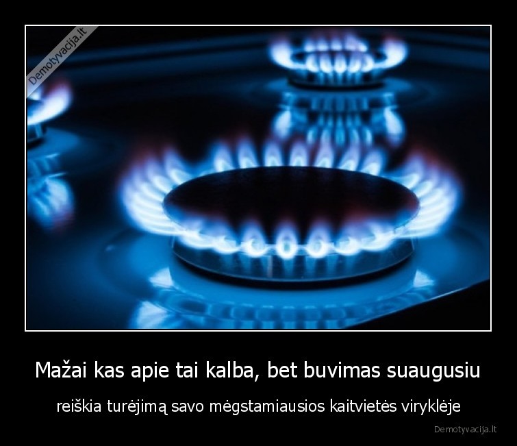 Mažai kas apie tai kalba, bet buvimas suaugusiu - reiškia turėjimą savo mėgstamiausios kaitvietės viryklėje. 