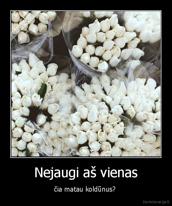 Nejaugi aš vienas - čia matau koldūnus? . 