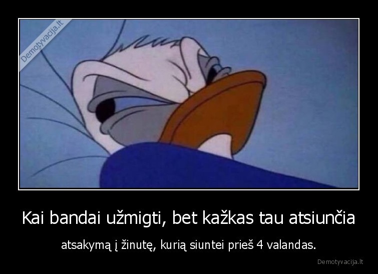 Kai bandai užmigti, bet kažkas tau atsiunčia - atsakymą į žinutę, kurią siuntei prieš 4 valandas.. 