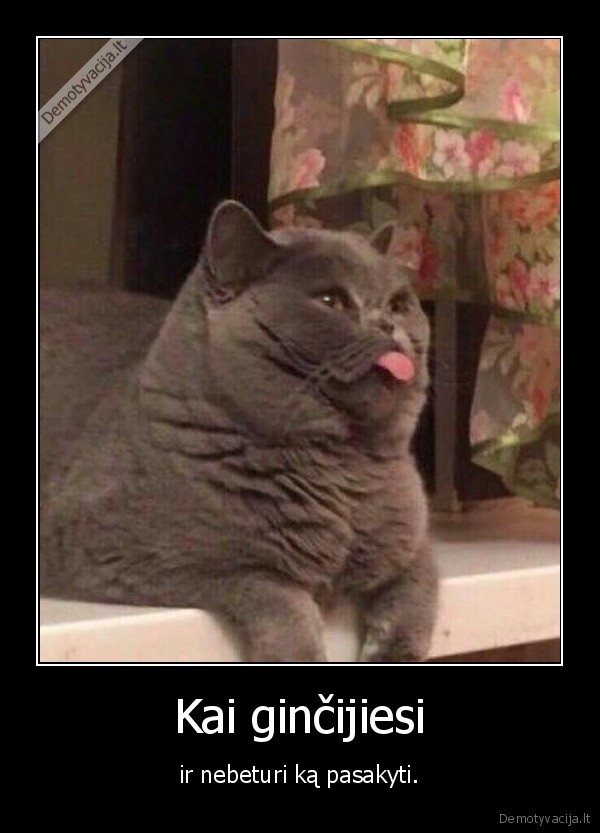 Kai ginčijiesi - ir nebeturi ką pasakyti.. 