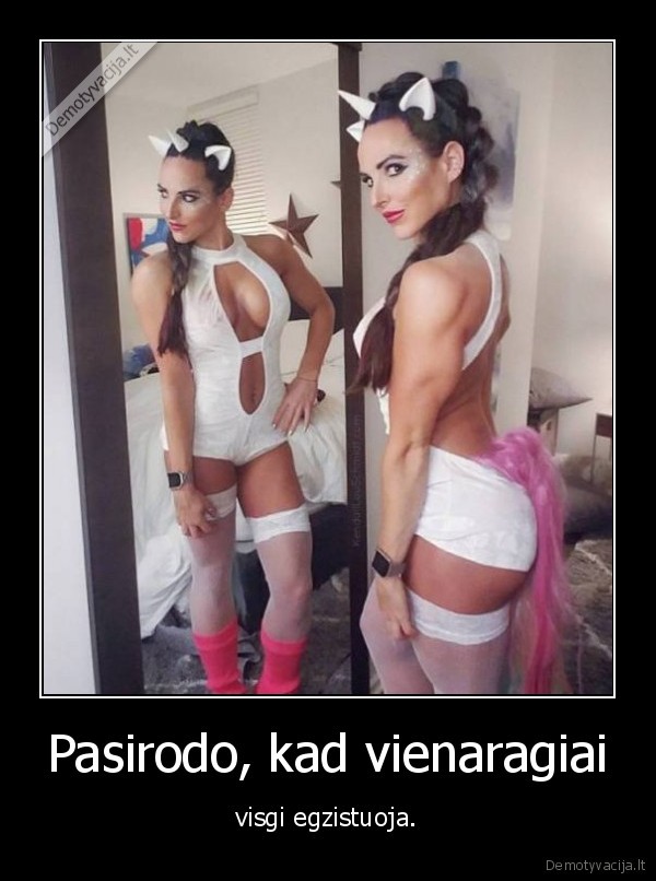 Pasirodo, kad vienaragiai - visgi egzistuoja.. 
