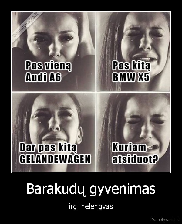 Barakudų gyvenimas - irgi nelengvas. 