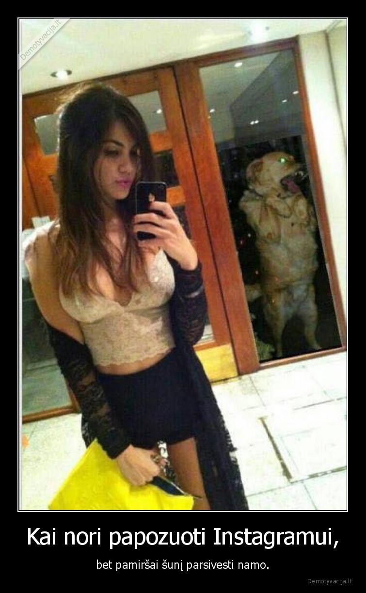 Kai nori papozuoti Instagramui, - bet pamiršai šunį parsivesti namo.. 