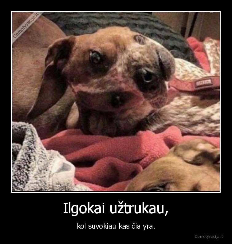 Ilgokai užtrukau, - kol suvokiau kas čia yra.. 