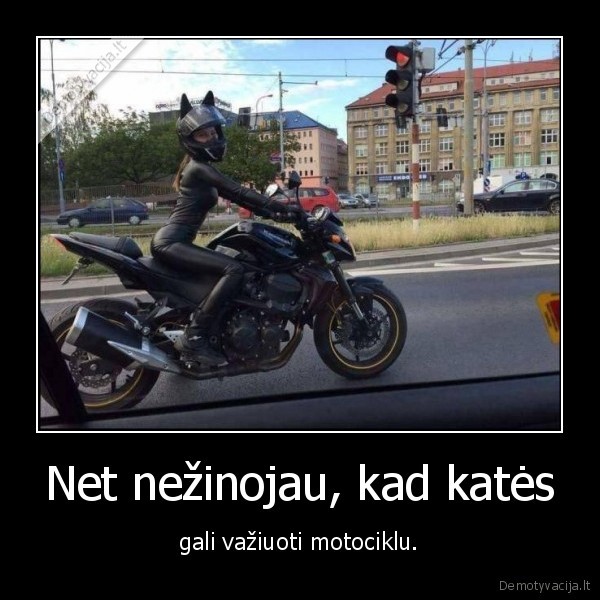 Net nežinojau, kad katės - gali važiuoti motociklu.. 
