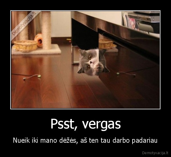 Psst, vergas - Nueik iki mano dėžės, aš ten tau darbo padariau. 