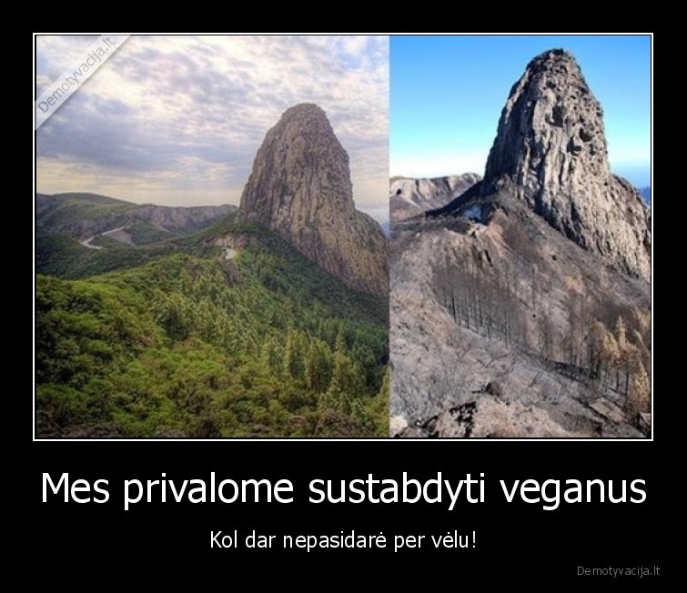 Mes privalome sustabdyti veganus - Kol dar nepasidarė per vėlu!. 