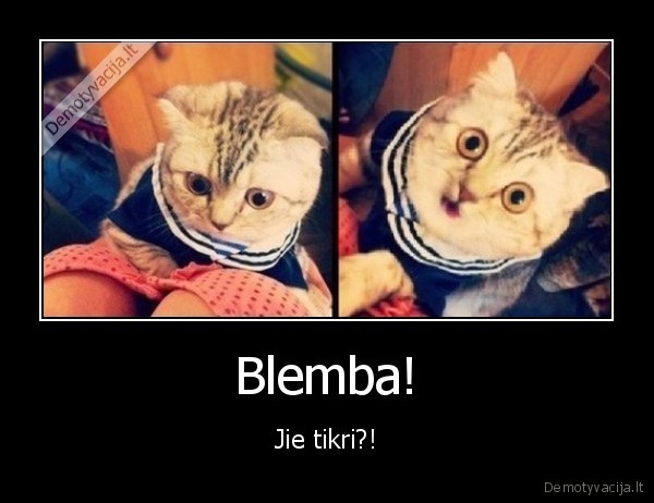 Blemba! - Jie tikri?!. 