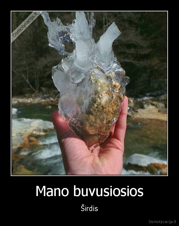 Mano buvusiosios - Širdis. 