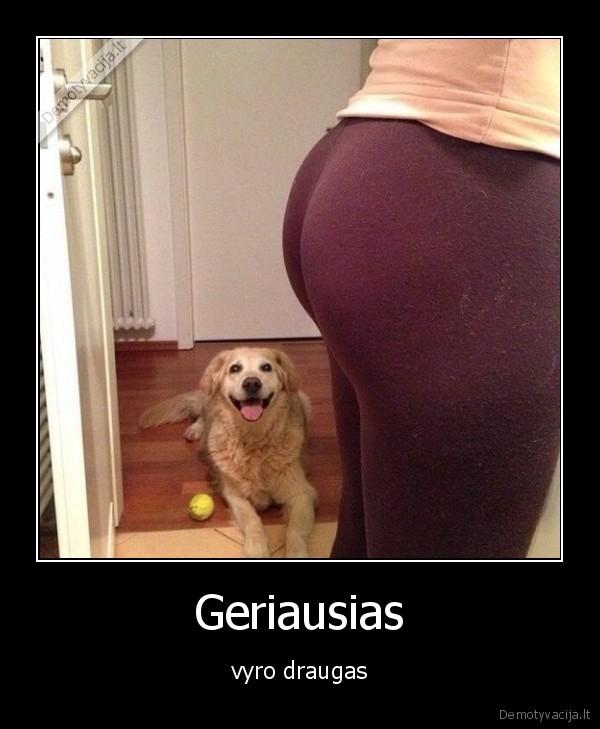 Geriausias - vyro draugas. 