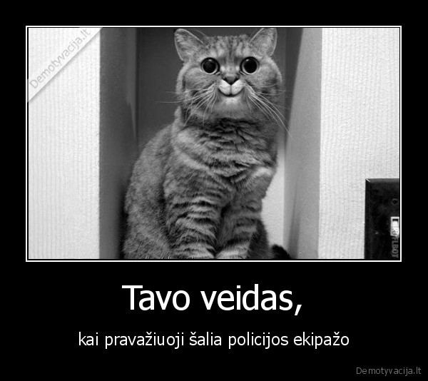 Tavo veidas, - kai pravažiuoji šalia policijos ekipažo. 