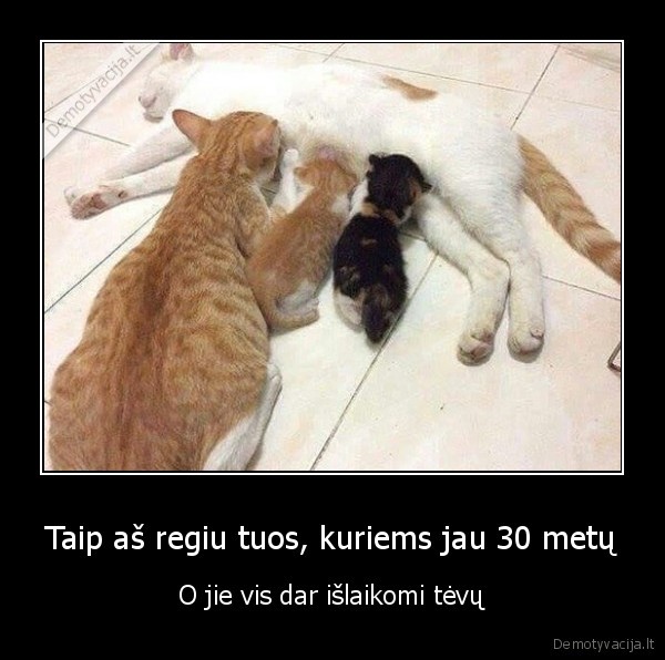 Taip aš regiu tuos, kuriems jau 30 metų - O jie vis dar išlaikomi tėvų. 