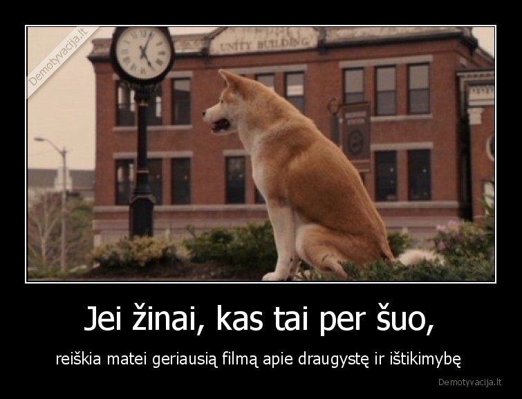 Jei žinai, kas tai per šuo, - reiškia matei geriausią filmą apie draugystę ir ištikimybę . 