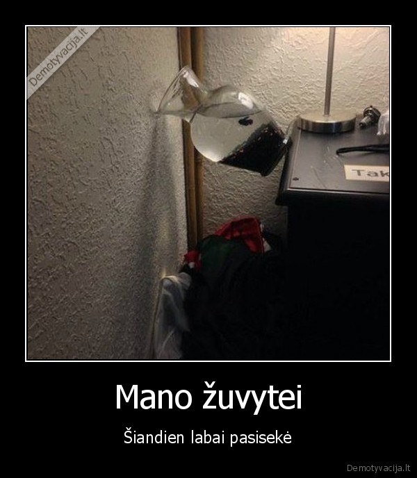 Mano žuvytei - Šiandien labai pasisekė. 