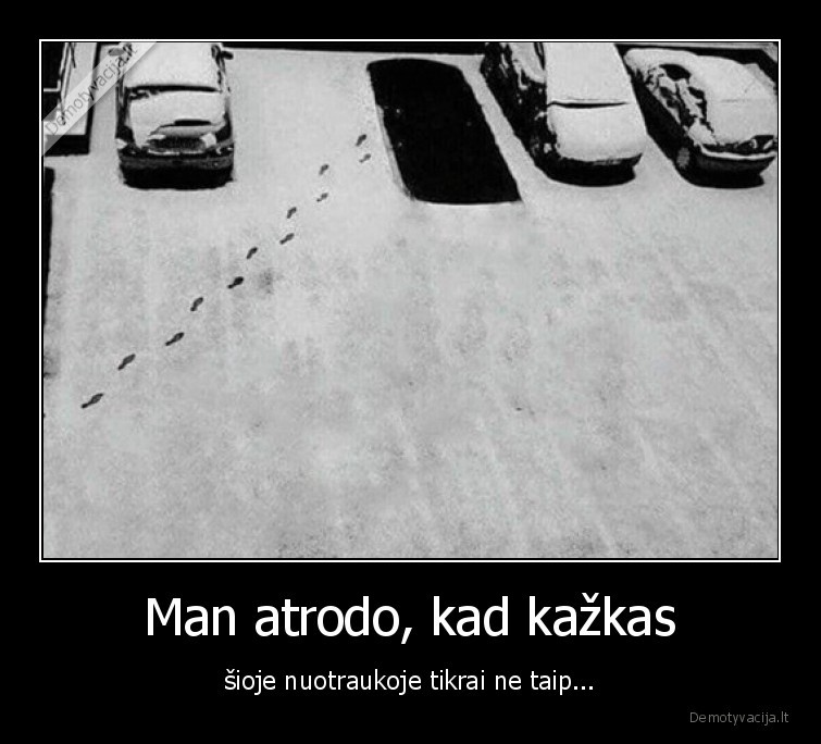 Man atrodo, kad kažkas - šioje nuotraukoje tikrai ne taip.... 