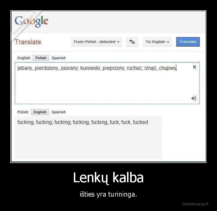 Lenkų kalba - išties yra turininga.. 