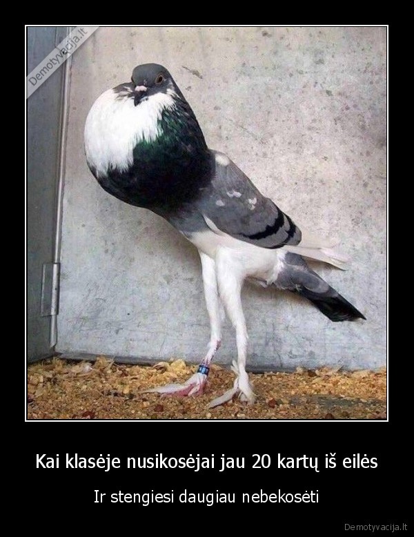 Kai klasėje nusikosėjai jau 20 kartų iš eilės - Ir stengiesi daugiau nebekosėti. 