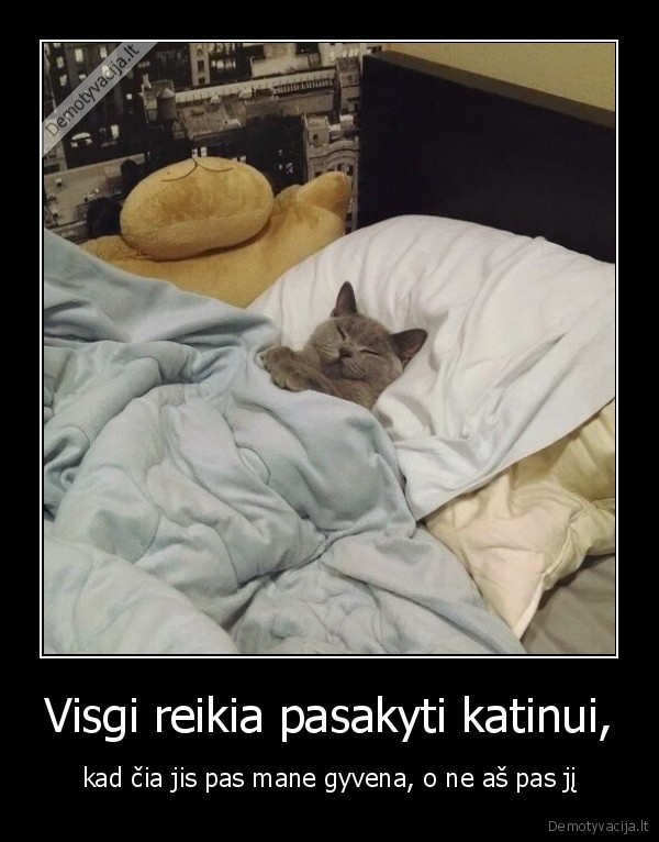 Visgi reikia pasakyti katinui, - kad čia jis pas mane gyvena, o ne aš pas jį. 