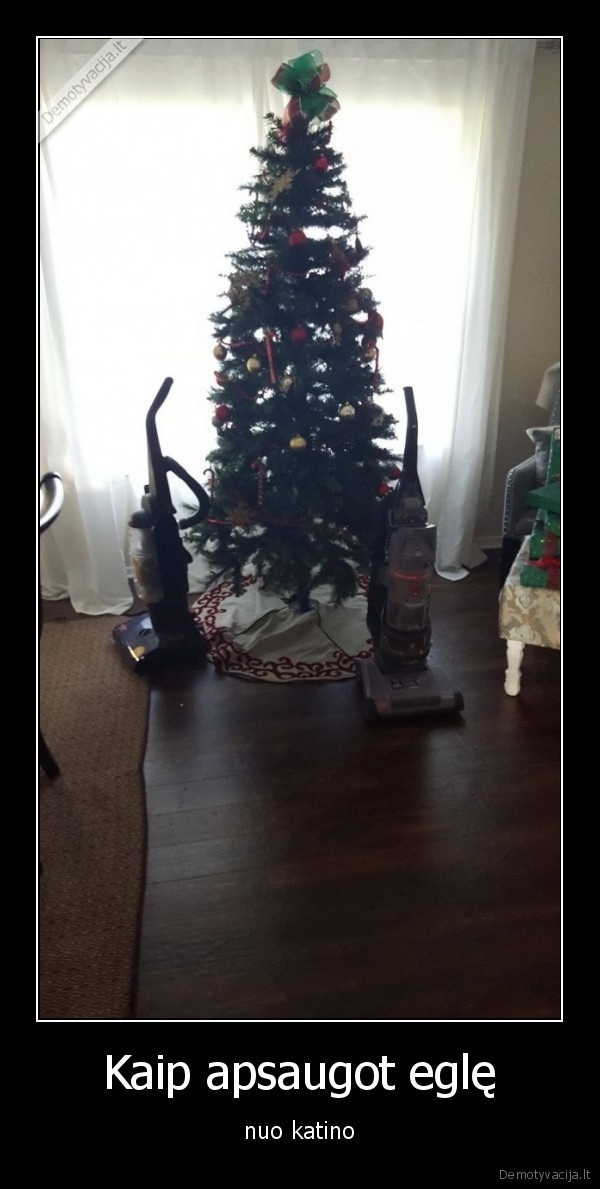 Kaip apsaugot eglę - nuo katino. 