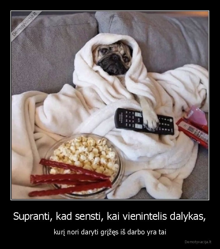 Supranti, kad sensti, kai vienintelis dalykas, - kurį nori daryti grįžęs iš darbo yra tai. 