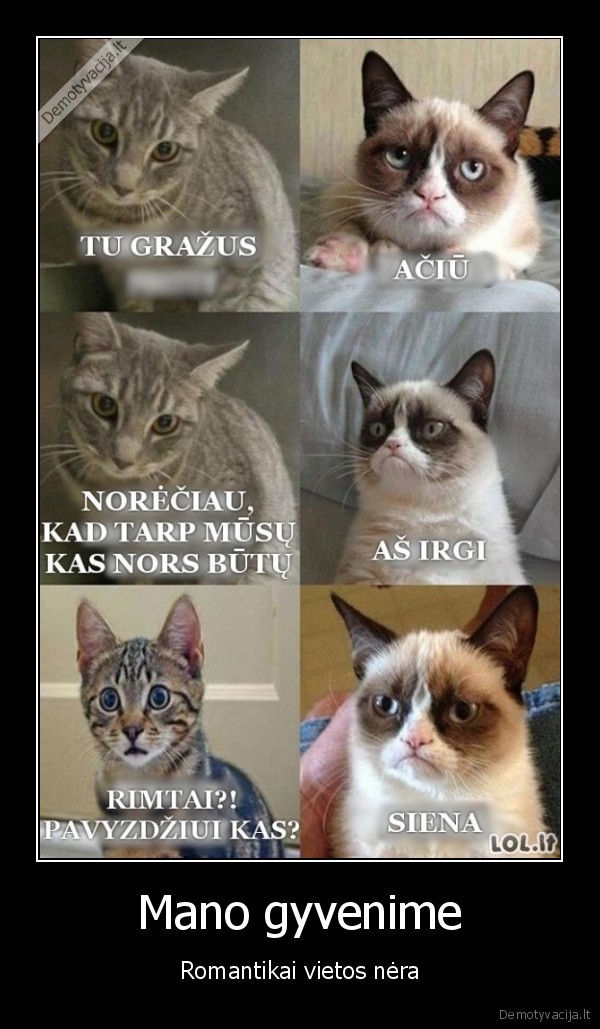 Mano gyvenime - Romantikai vietos nėra. 