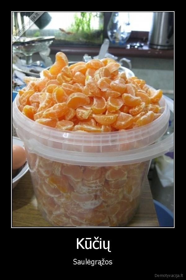 Kūčių - Saulėgrąžos. 